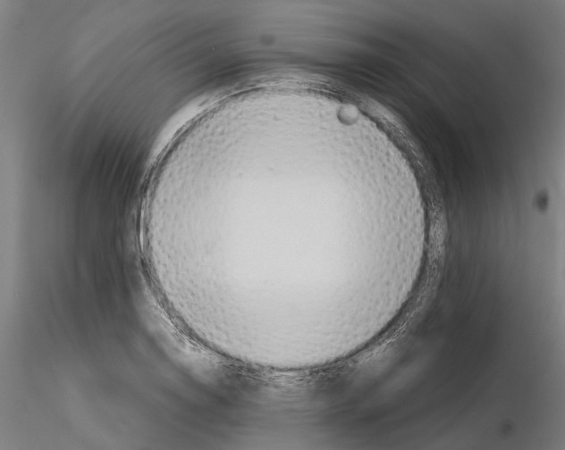 X0000115191130200912091104