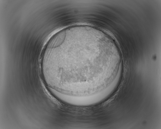 X0000115191133200912091104