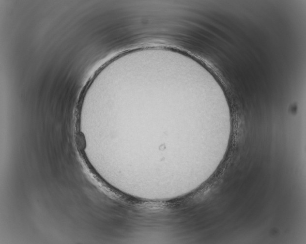 X0000115191134200912091104