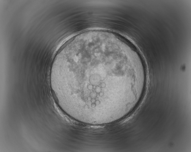 X0000115191137200912091104