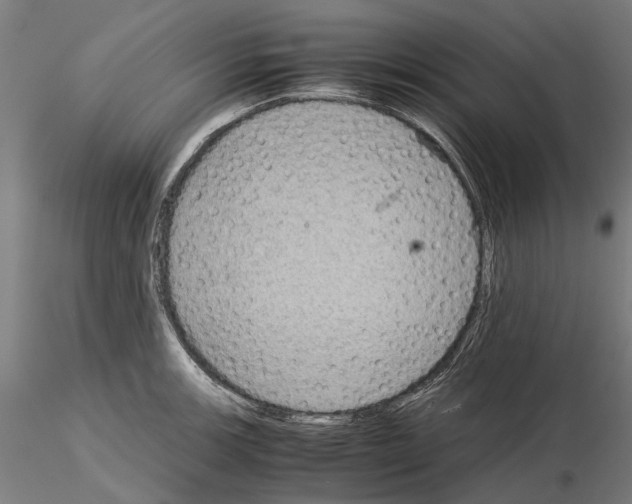 X0000115191139200912091104