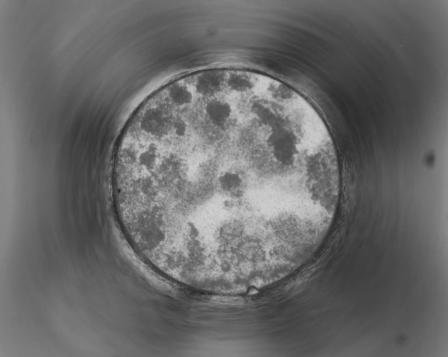 X0000115191142200912091104