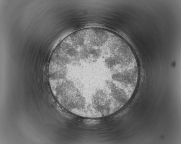 X0000115191145200912091104