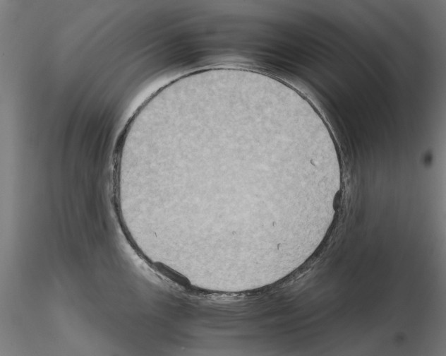 X0000115191147200912091104