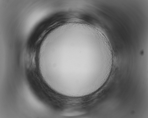 X0000115191150200912091104