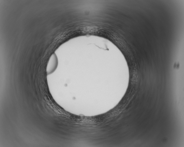 X0000115191153200912091104