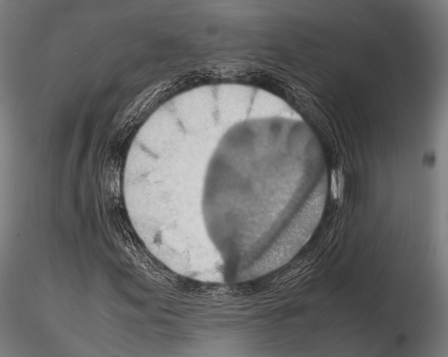 X0000115191155200912091104