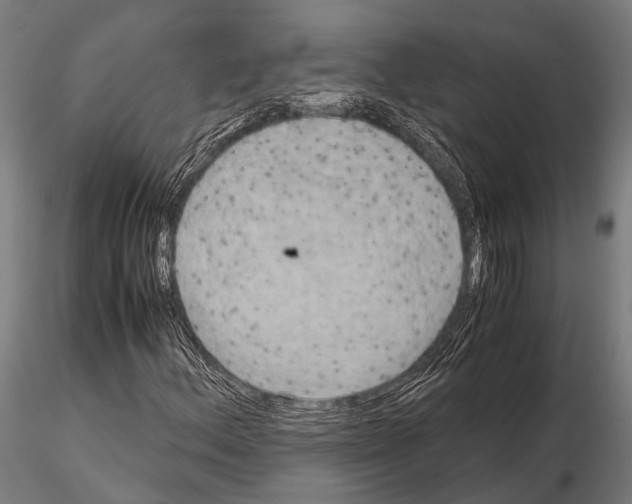 X0000115191156200912091104