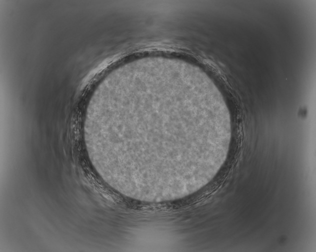 X0000115191159200912091104