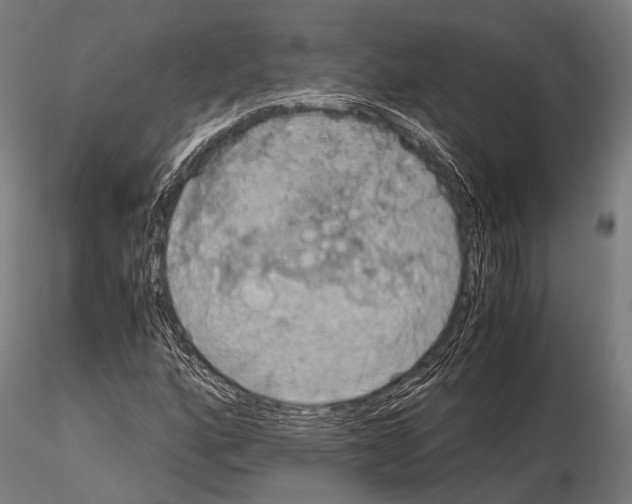 X0000115191160200912091103