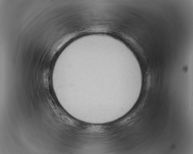 X0000115191162200912091103