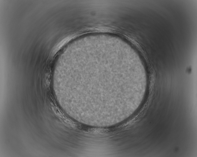 X0000115191163200912091103