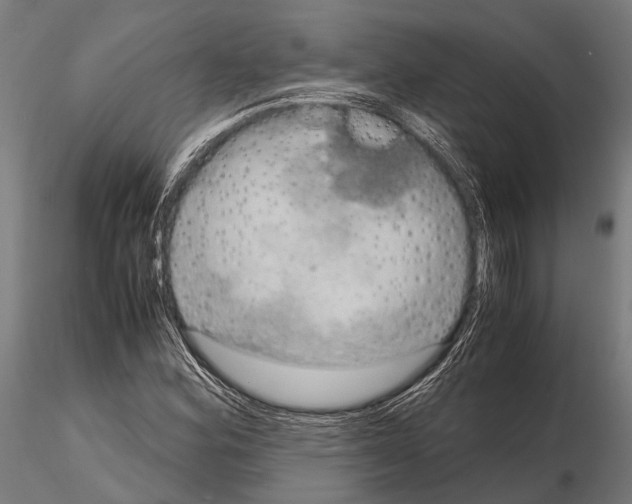 X0000115191164200912091103