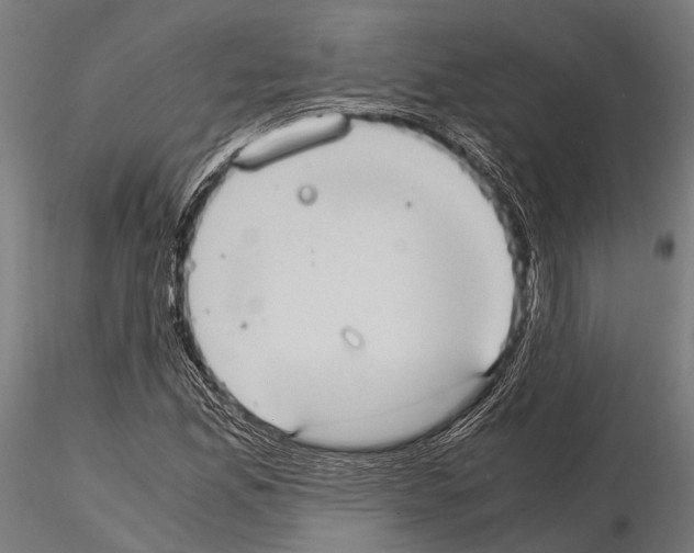 X0000115191165200912091103