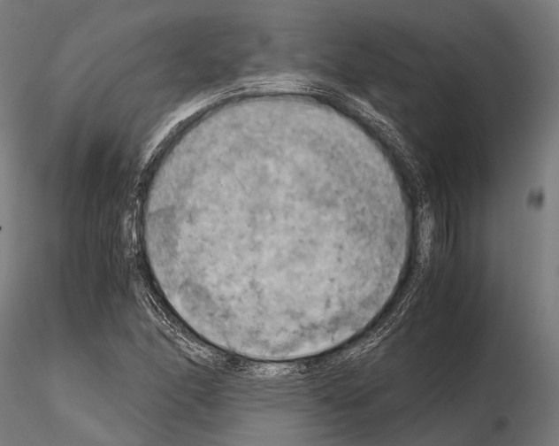 X0000115191166200912091103