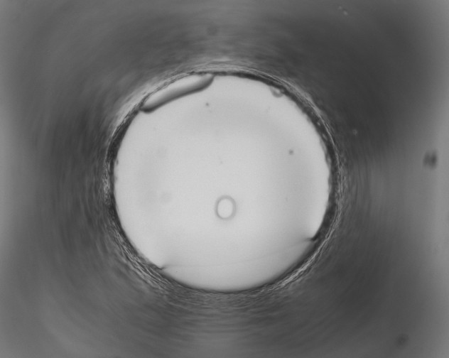 X0000115191167200912091103