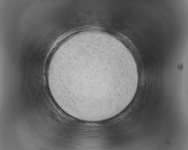 X0000115191168200912091103