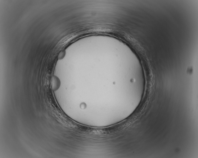 X0000115191169200912091103