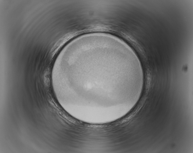 X0000115191170200912091103