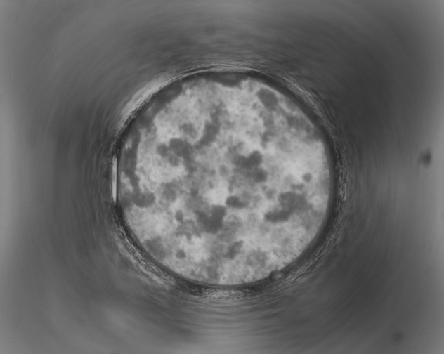 X0000115191171200912091103