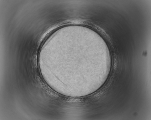 X0000115191174200912091103