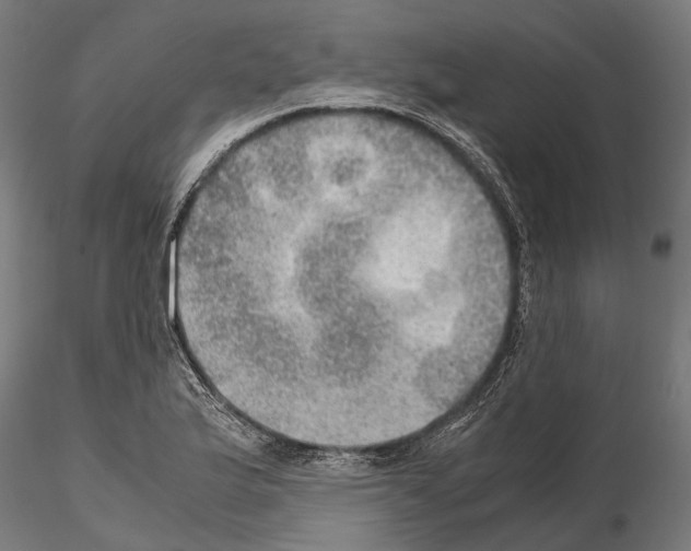 X0000115191175200912091103