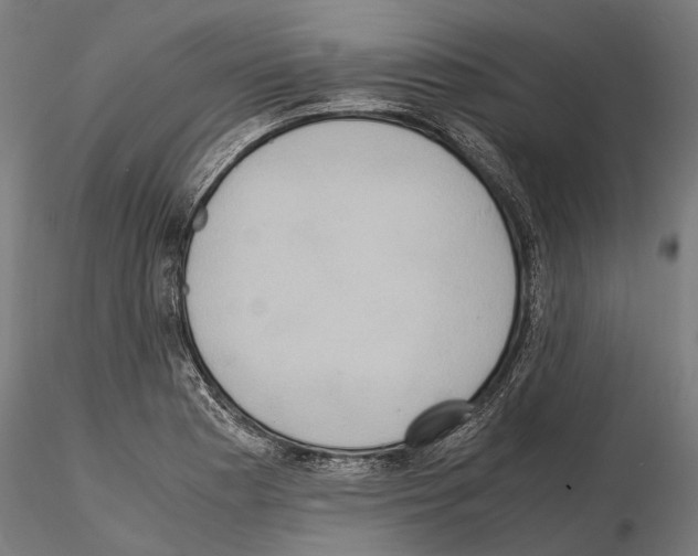 X0000115191177200912091103