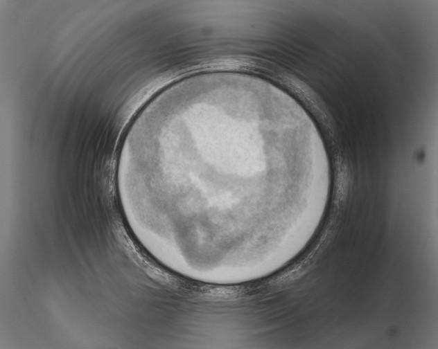 X0000115191178200912091103