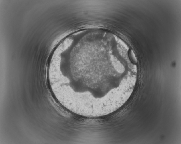 X0000115191179200912091103