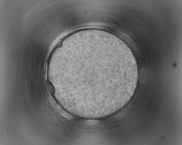 X0000115191180200912091103