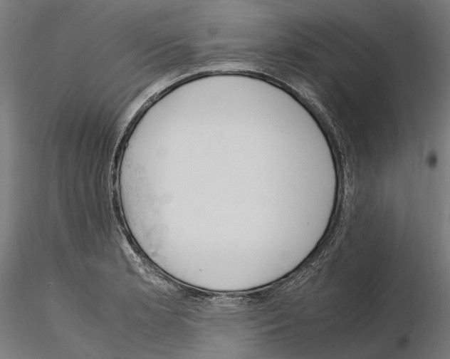 X0000115191181200912091103