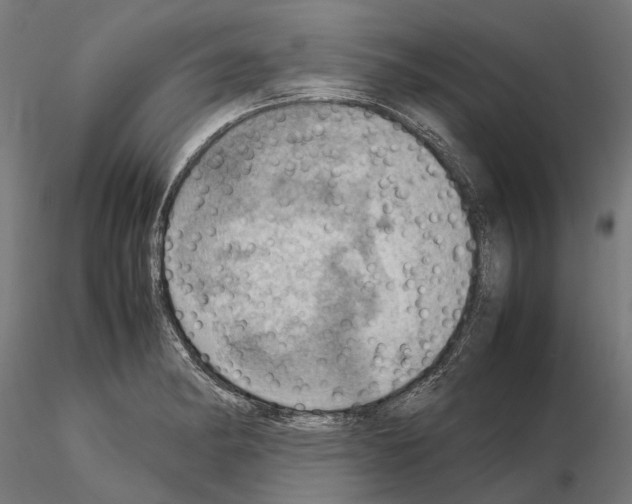 X0000115191182200912091103