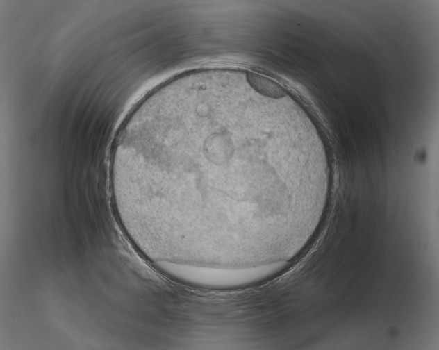 X0000115191184200912091103