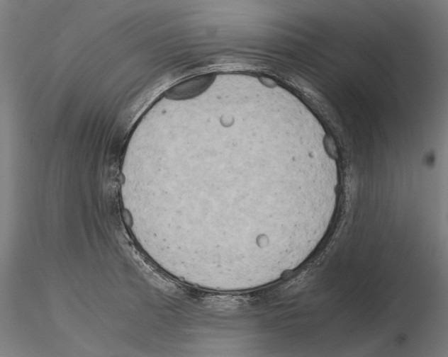 X0000115191185200912091103