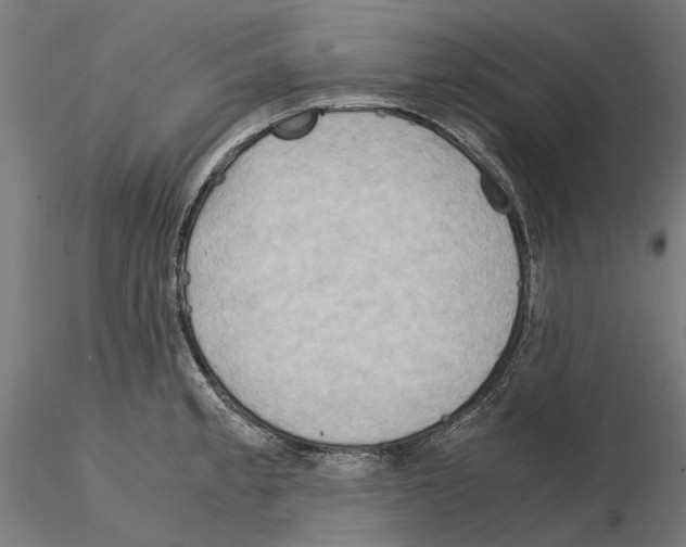 X0000115191189200912091103