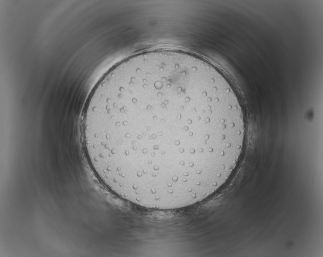 X0000115191190200912091103