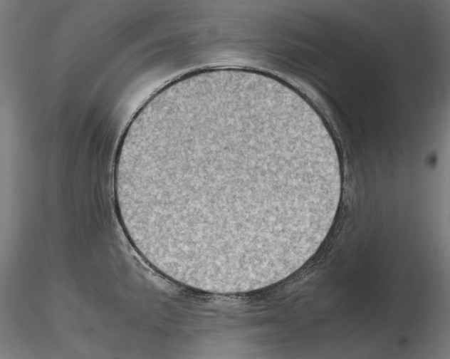 X0000115191191200912091103