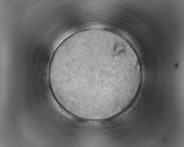 X0000115191194200912091103