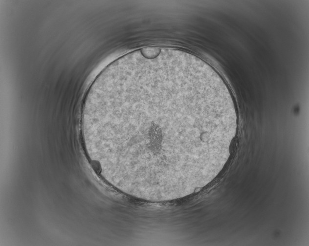 X0000115191195200912091103