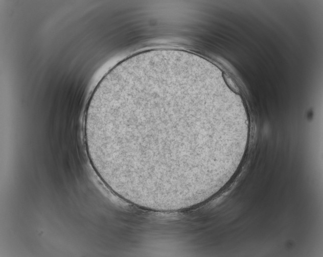 X0000115191196200912091103