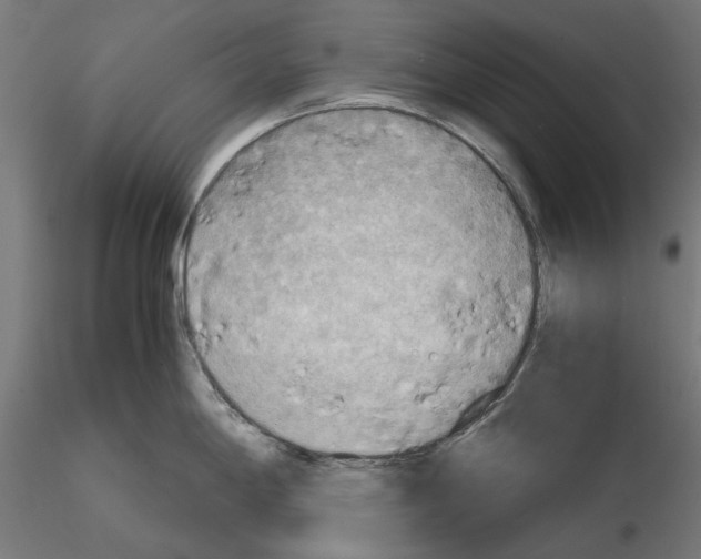 X0000115191198200912091103