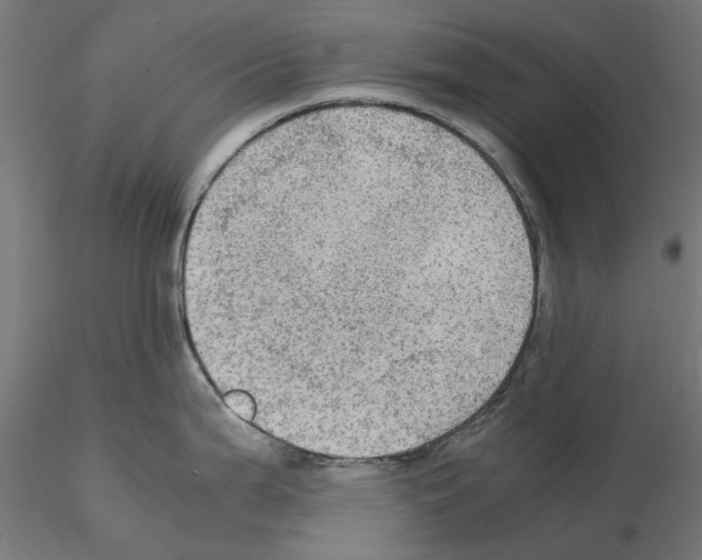 X0000115191199200912091103