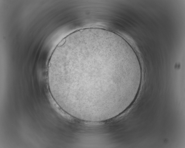 X0000115191200200912091103