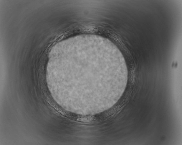 X0000115191201200912091102