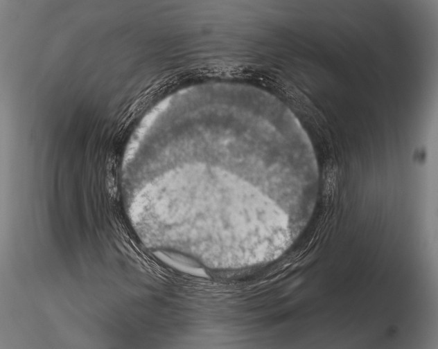 X0000115191202200912091102