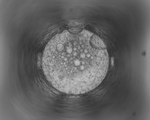 X0000115191203200912091102