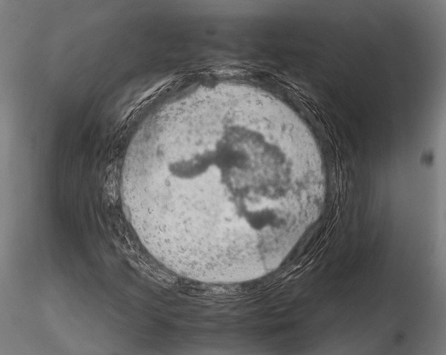 X0000115191205200912091102