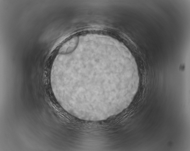 X0000115191208200912091102