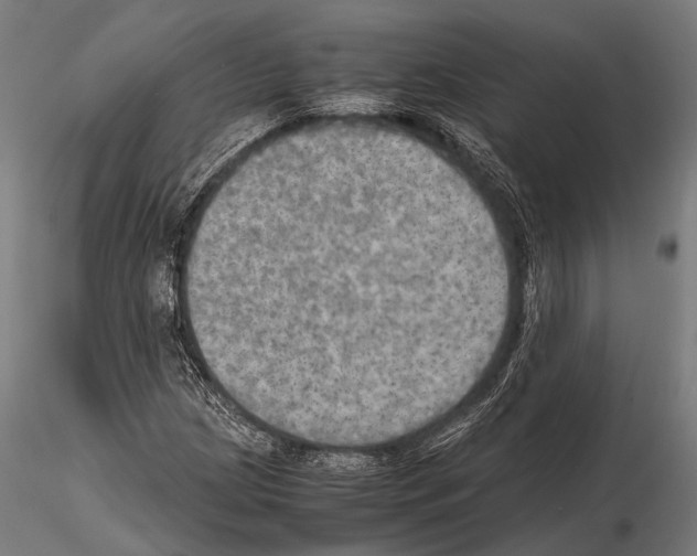 X0000115191209200912091102