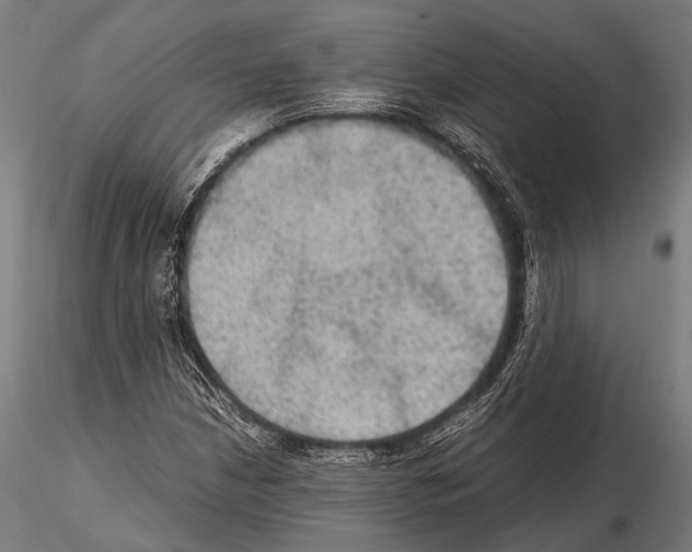 X0000115191210200912091102